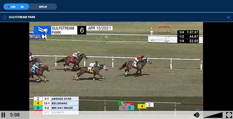 live horse racing betting shows